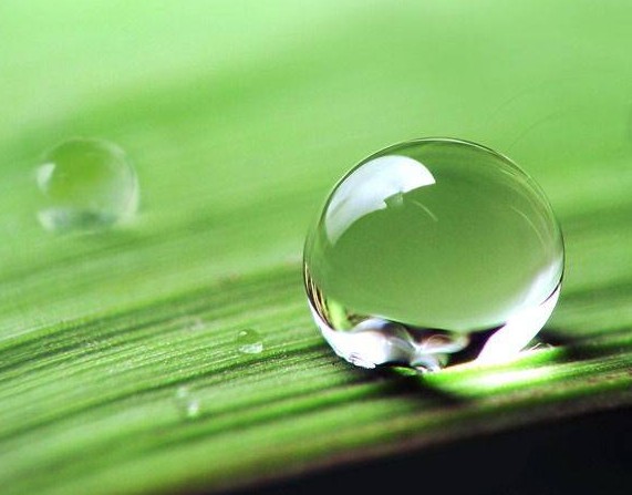 涂料潤濕劑<a href='http://www.china-023.com/product/product-0001,0011,0020.shtml' class='keys' title='點擊查看關于分散劑的相關信息' target='_blank'>分散劑</a>