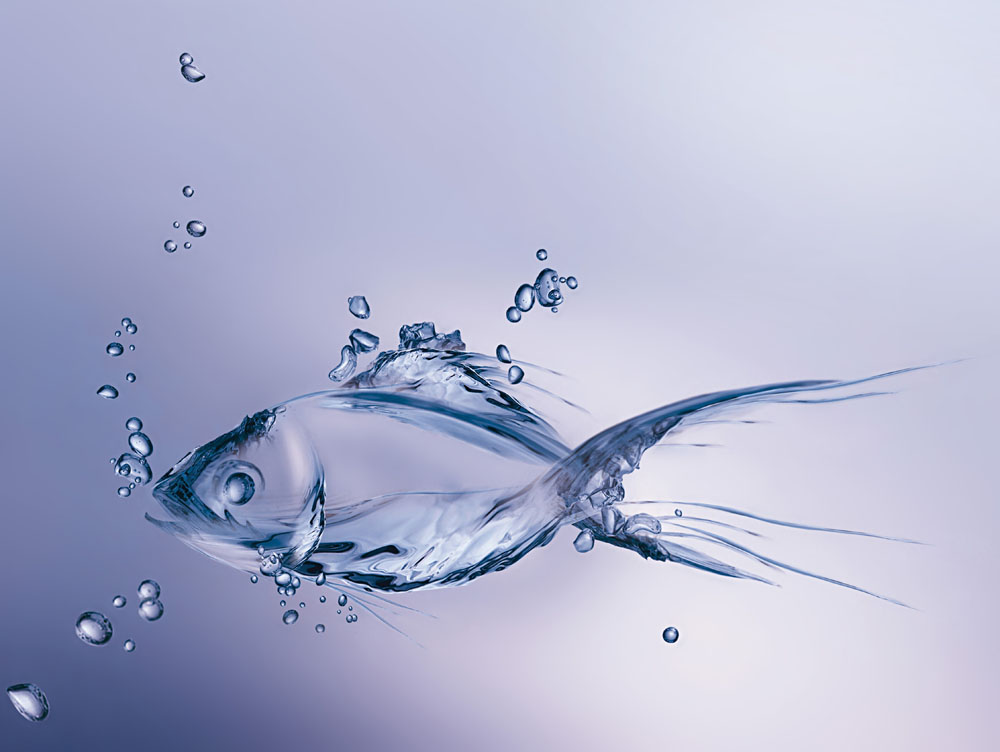 潤濕<a href='http://www.china-023.com/product/product-0001,0011,0020.shtml' class='keys' title='點擊查看關于分散劑的相關信息' target='_blank'>分散劑</a>