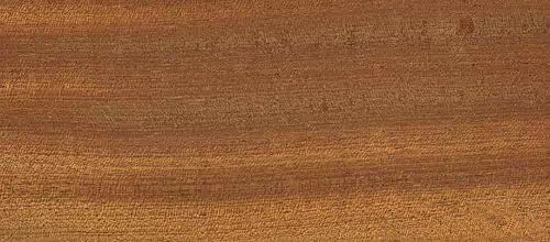 木器漆基材潤濕劑,木器漆潤濕劑,水性潤濕劑,底材潤濕劑,潤濕劑廠家,迪高潤濕劑,<a href='http://www.china-023.com/product/product-0001,0011,0018.shtml' class='keys' title='點擊查看關于潤濕劑的相關信息' target='_blank'>潤濕劑</a>批發