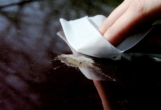 汽車(chē)改色漆、汽車(chē)護(hù)理