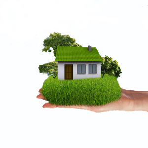 皮革護理、皮革保養